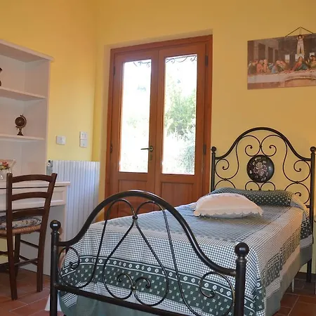 Nido D'aquila Collodi